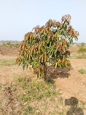 જમીન વેચવાની છે