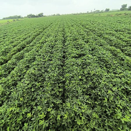 જમીન વેચવાની છે