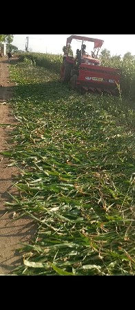 રીપર