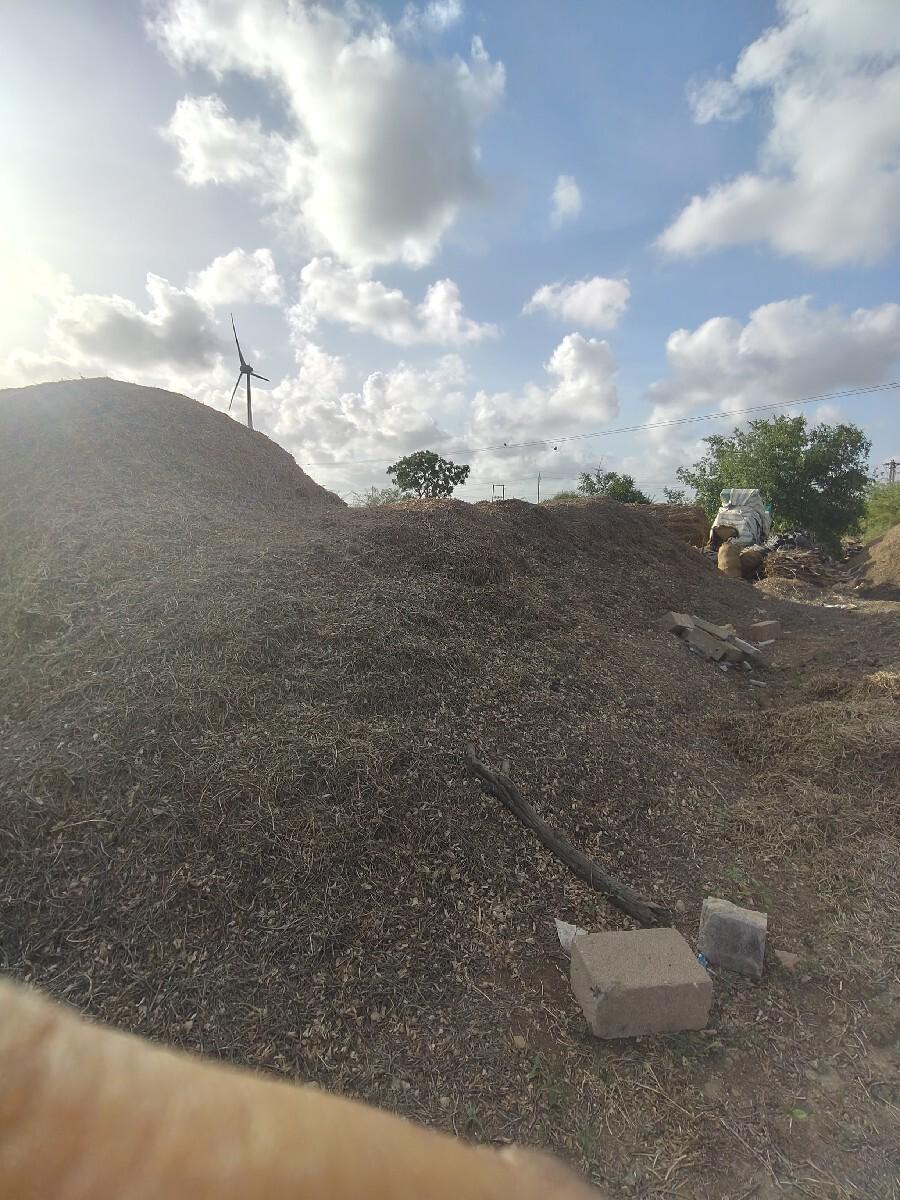 માંડવી નો ભૂકો