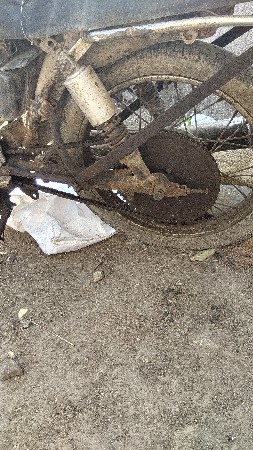 સાટાકરવા પાડી હારે