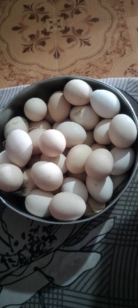 આ ઈડા વેચવાના છે દેશી ઈડા છે