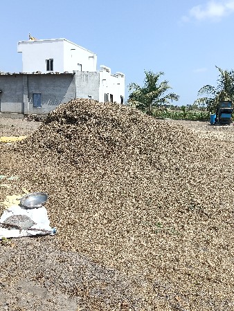 કરશન ભાઈ સોલંકી 6355153829