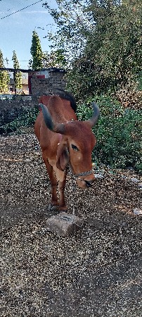 9773162245
