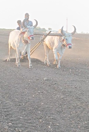 જવાબદારી થી વેચવાના