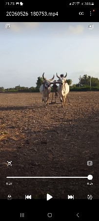 ફુલ સોજ સે