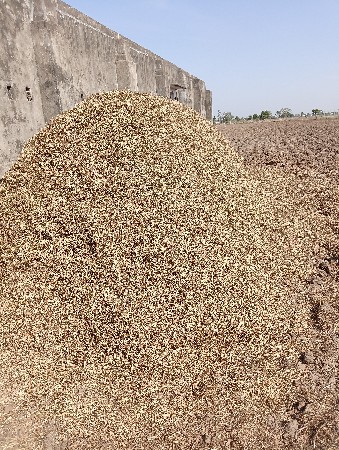 મગફળી નો ભૂકો વેચવા નો છે