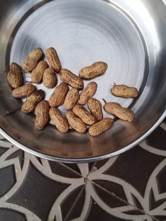 G 22 નંબર વેચવાની છે.