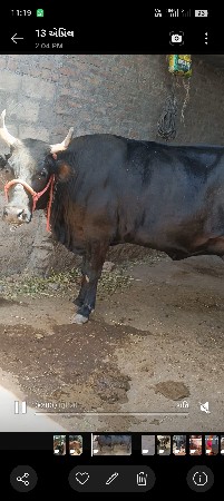 2 વેતર