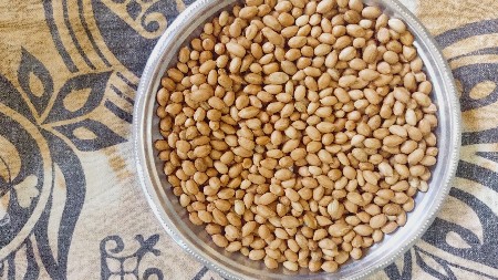 ગીરનાર 4 મગફળી