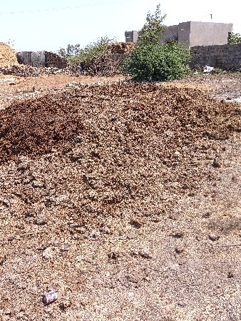 ધરમપુર