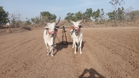 વેંચવા ના છે
