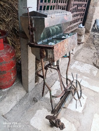 ઓરણી