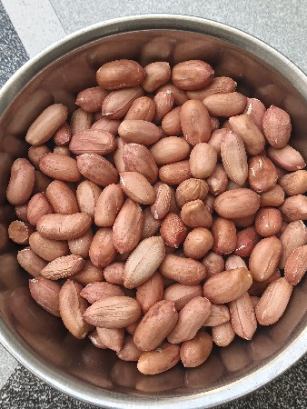 બીયારણ  39 નમ્બર નુ વેચવાનુ સે.