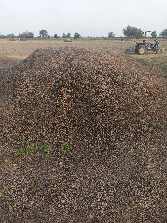 મગફળી નો ભૂકો