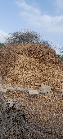 નીરણ વેચવાની છે