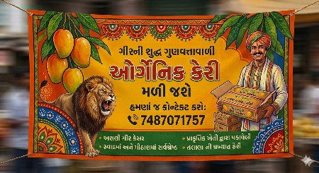 તાલાલા ગીર ની પ્રખ્યાત કેસર કેરી