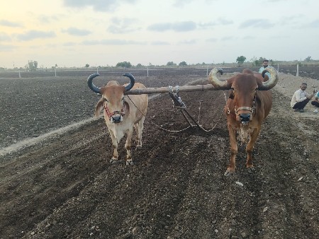 વેચવાના છે