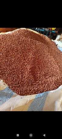 જી૨૦ માંડવીના બેરલના દાણા વેચાવ છે