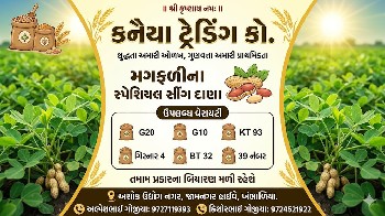 મગફળી નું બિયારણ મળશે