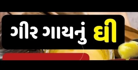 ગીર ગાયનું ઘી વેચવાનું છે