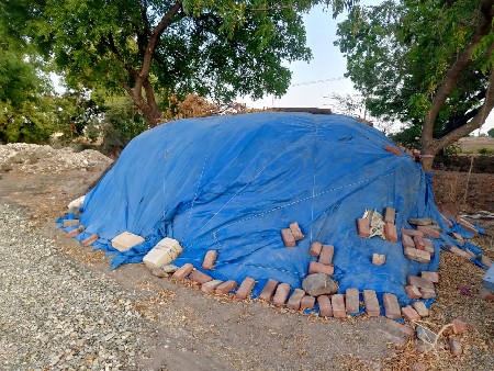 20નંબર