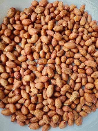 મગફળી નું બિયારણ વેચવાનું છે
