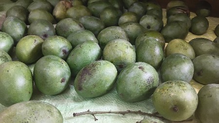 અથાણા કેરી વેચવાની છે