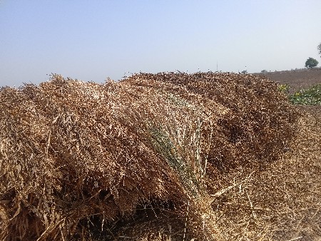 ચાર વેચવાની છે