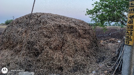 પાલો વેચવાનો નો છે.