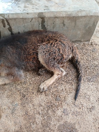 વેચવાની છે