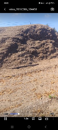 મગોટુ વેસવાનુ છે