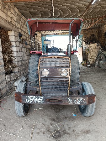 મેસી 241