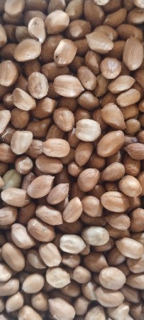 37માંડવા બી દેવાના છે