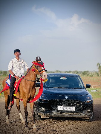 આ ઘોડી વેચવાની છે