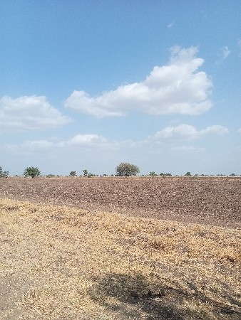 ખેતીને જમીન વેચવાની છે