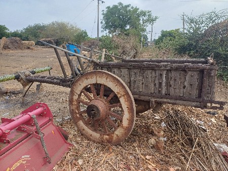 બળદ ગાડુ