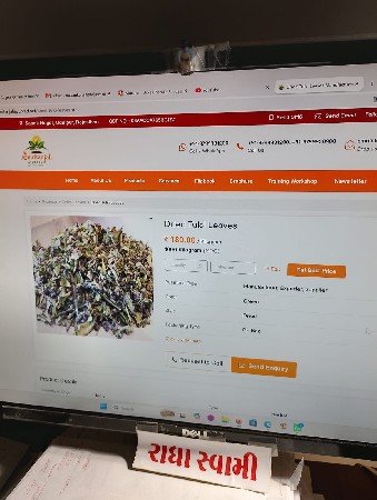 tulsi Rs 180 1 kg Dried  tulsi