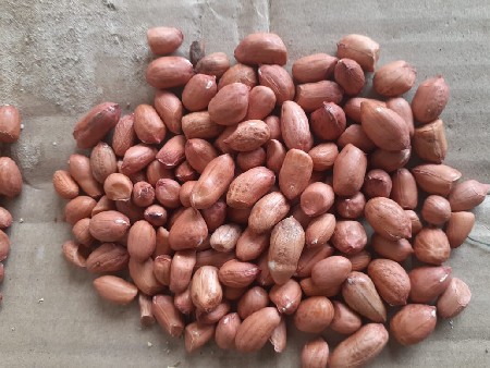 જે વિસ મગફળી ડોડવા