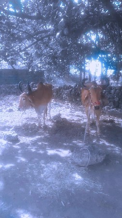 30000 કિંમત