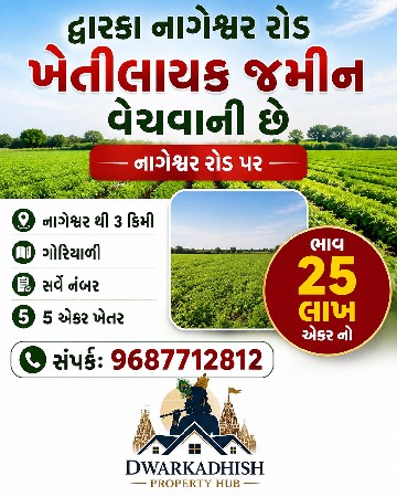 ગોરીયારી ગામ રોડ ટચ
