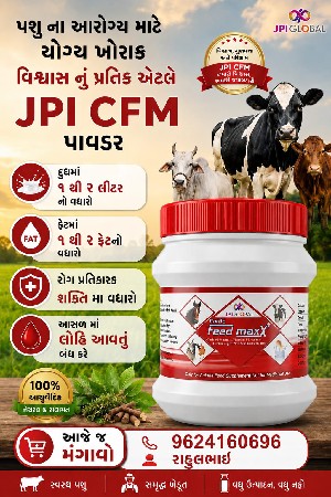 પાવડર