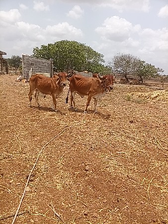 બદલાવ વેચવાના છે બધી જવાબદારીથી