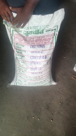 ગિરનાર 4 દાણા