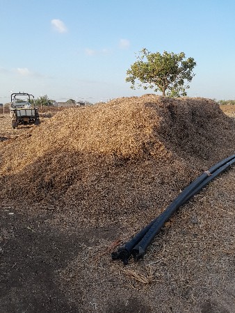 મગફળી નો ચારો 20 વિઘા નો