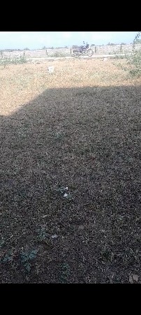 પ્લોટ વેચવાનું છે
