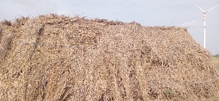 નિણ