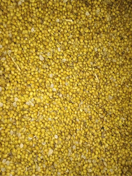 જમીન લેવાની છે નીચે માહિતી છે