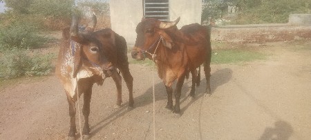 દેવભૂમિ દ્વારકા જામ ખંભાળિયા તાલુક