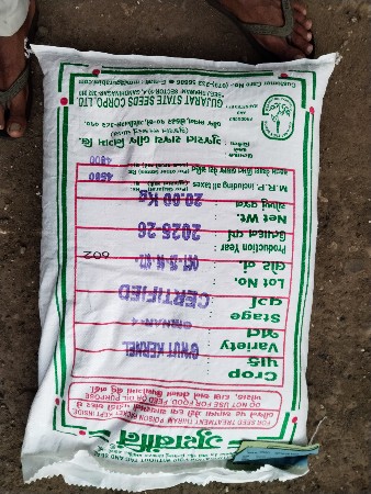 ગિરનાર 4 બિયારણ વેશવાનું સે